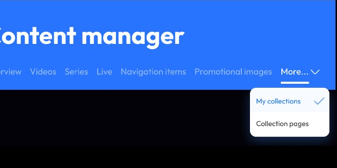 Responsive page header navigation with More menu and selected item feedback.